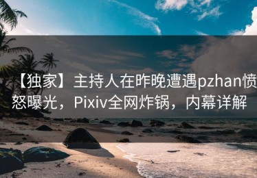 【独家】主持人在昨晚遭遇pzhan愤怒曝光，Pixiv全网炸锅，内幕详解