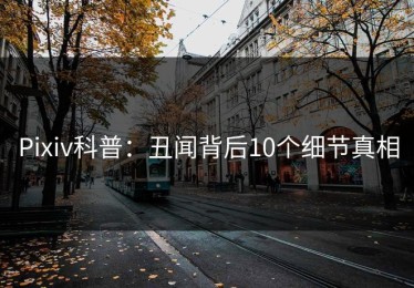 Pixiv科普：丑闻背后10个细节真相