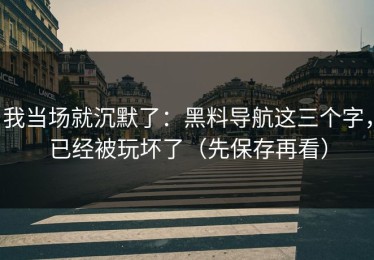 我当场就沉默了：黑料导航这三个字，已经被玩坏了（先保存再看）