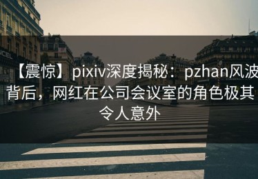 【震惊】pixiv深度揭秘：pzhan风波背后，网红在公司会议室的角色极其令人意外
