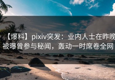 【爆料】pixiv突发：业内人士在昨晚被曝曾参与秘闻，轰动一时席卷全网