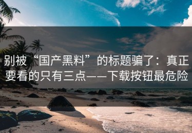 别被“国产黑料”的标题骗了：真正要看的只有三点——下载按钮最危险