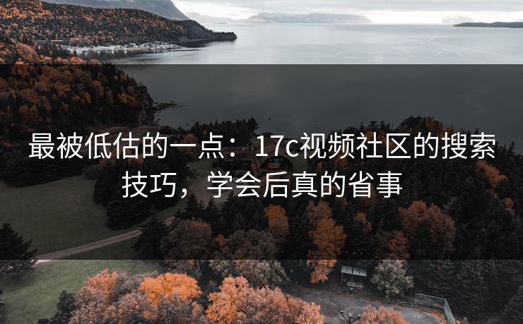 最被低估的一点：17c视频社区的搜索技巧，学会后真的省事